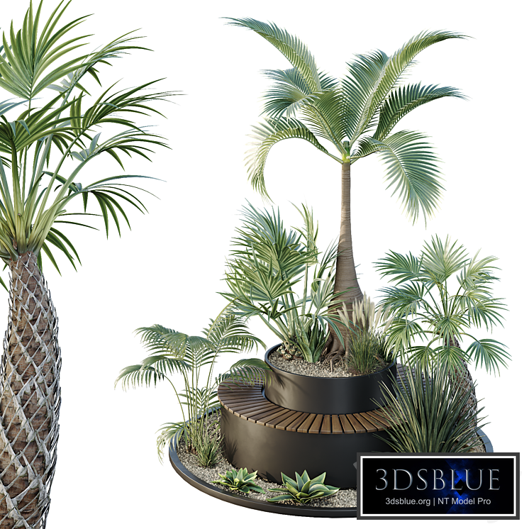 HQ Tree and bush garden box outdoor VOL 19