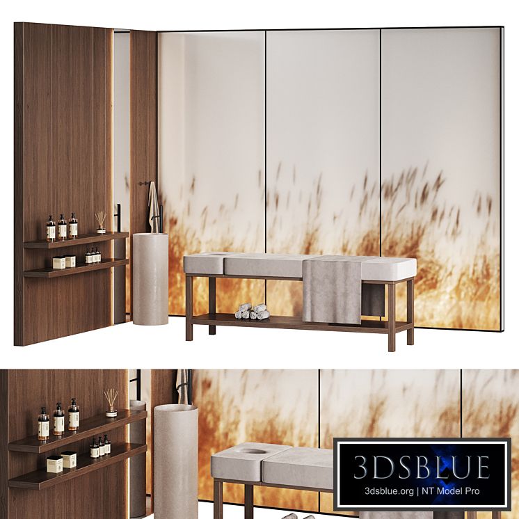 Modern minimalistic spa with wheat ears behind glass