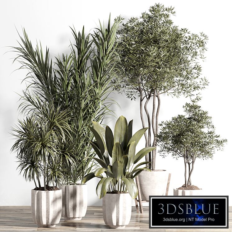 indoor plant - set 60