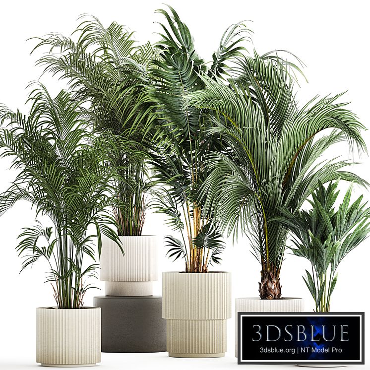 Plant collection 1408