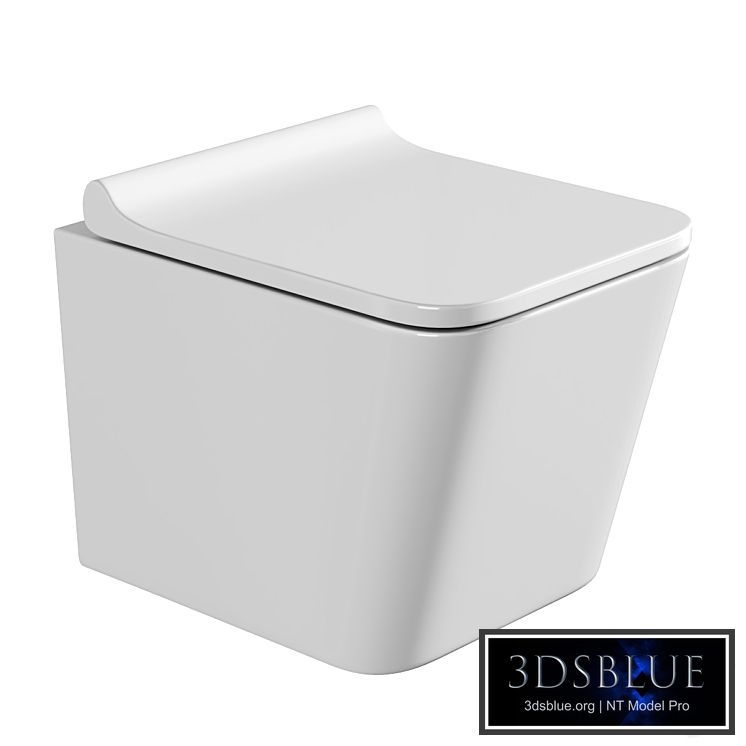 Wall hung toilet AQUAme AQM2004