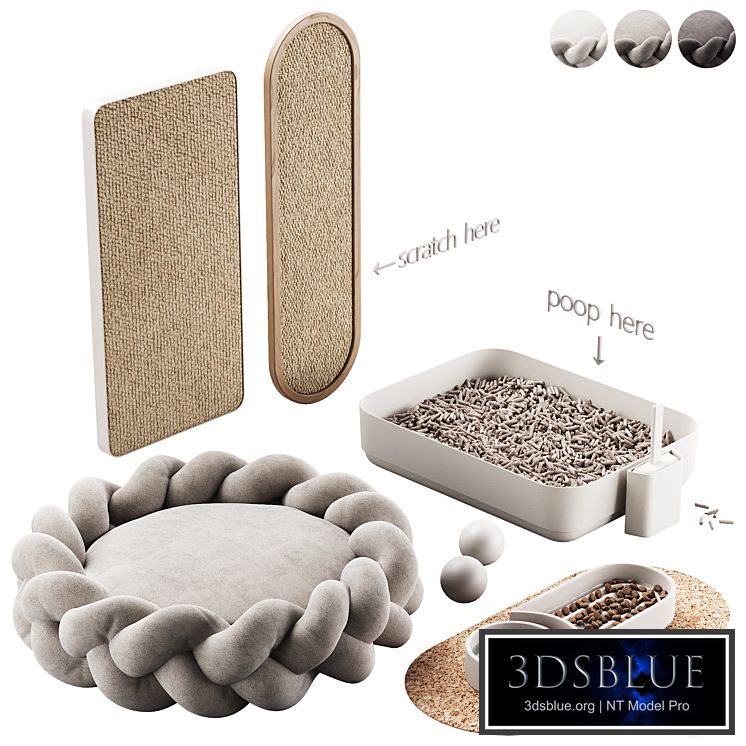 448 pets accessories 01 equipment for cats and dogs P1