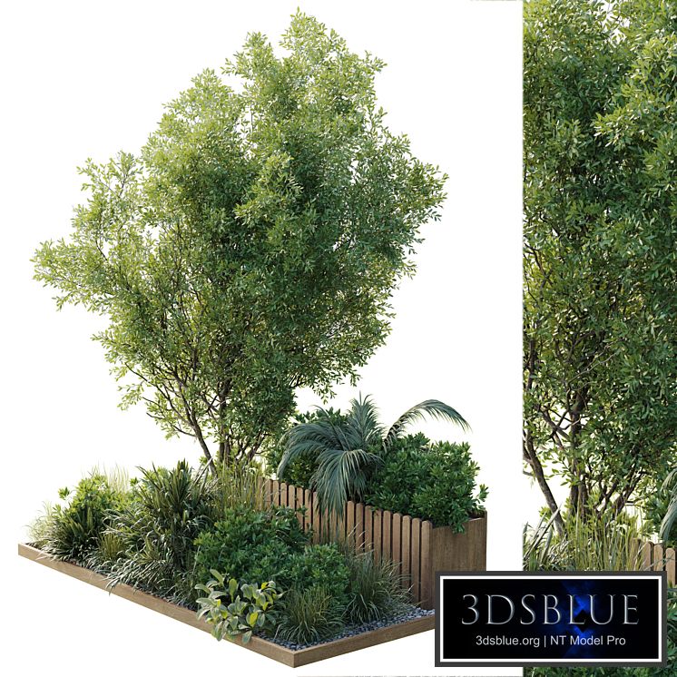 Garden plants box - Outdoor plants set 183