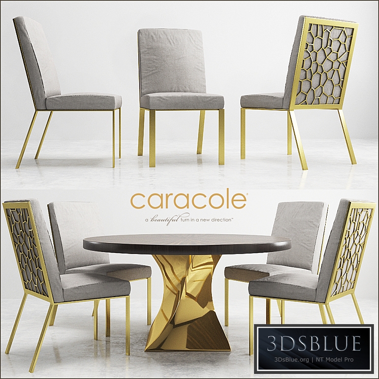 CARACOLE Do A 360 CON-DINTAB-014