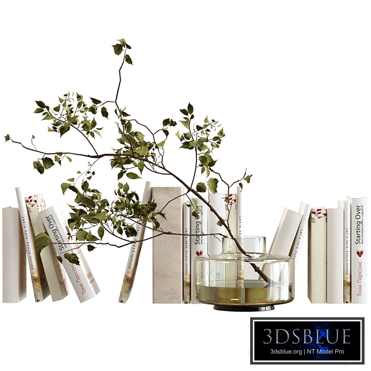 Decorative set with books