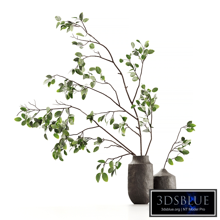 Branches in vases 02