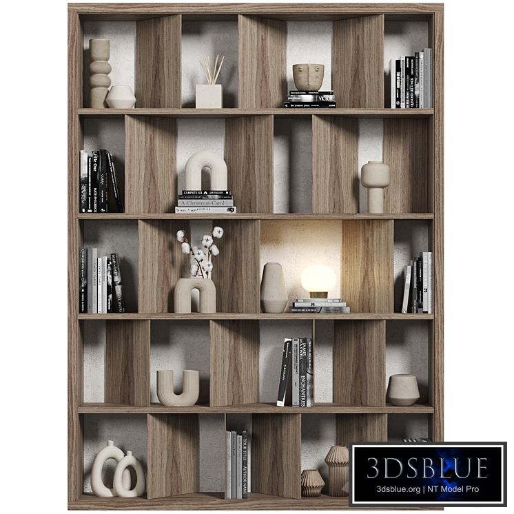 Cabinet with shelves 079