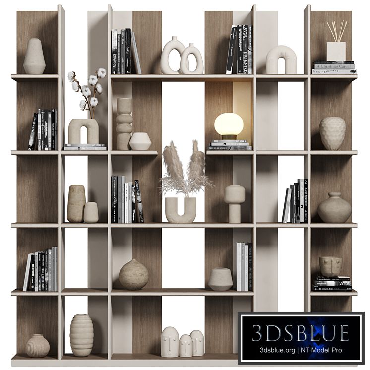 Cabinet with shelves 080