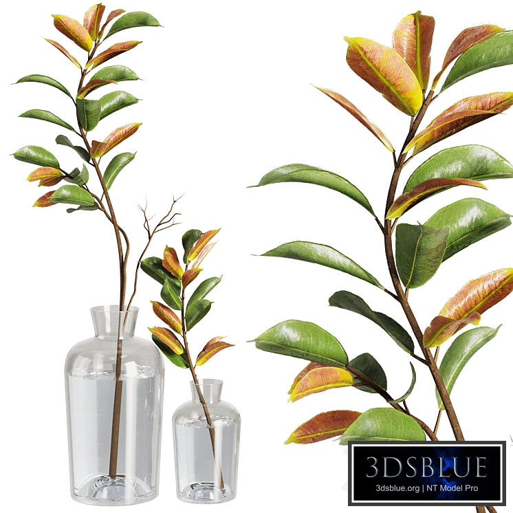 Dry Branches Bouquet20