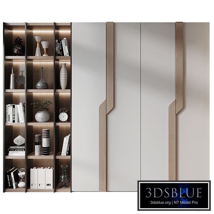 Shkafulkin Mebel Mikeya Shkaf Ronni