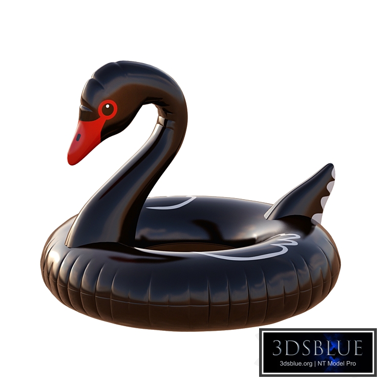 Black Swan Pool Float