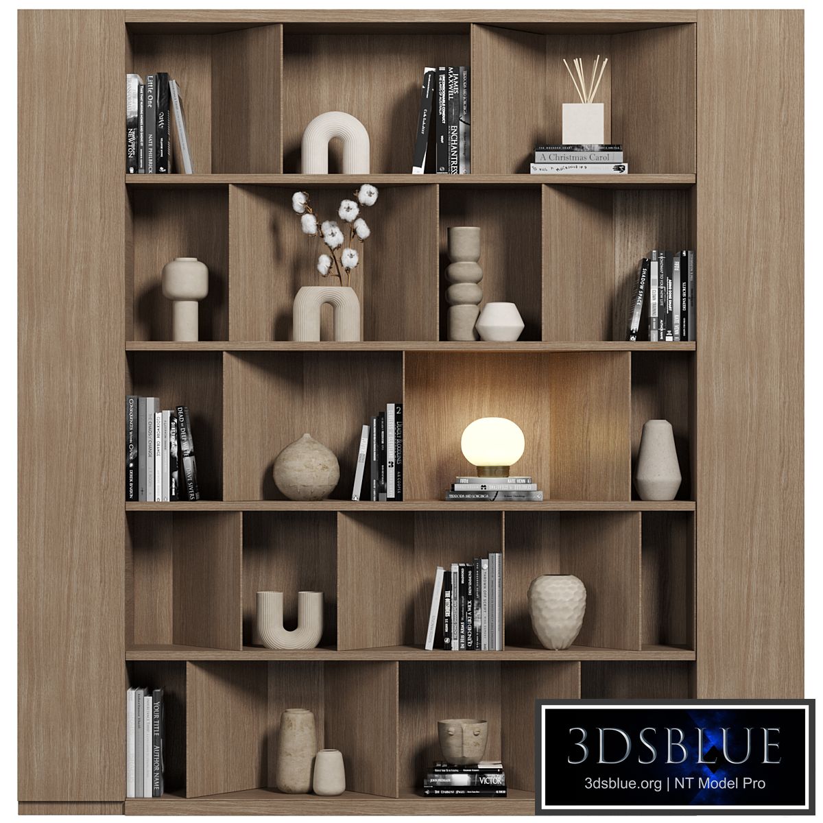 Cabinet with shelves 082