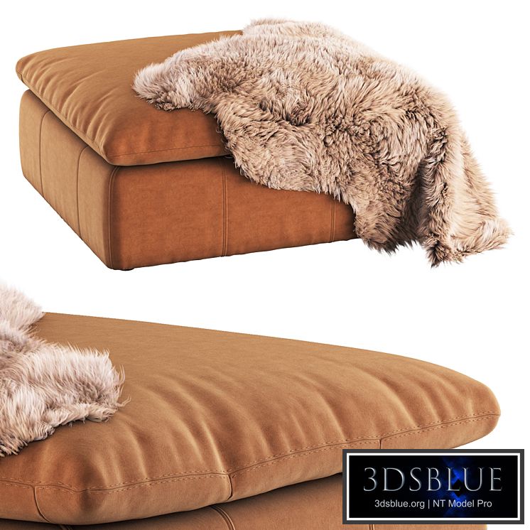 Aria Leather Ottoman by SIXPENNY