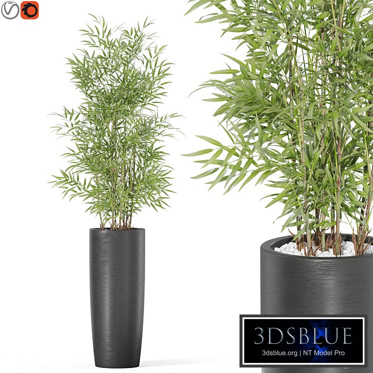 Plants collection 1009