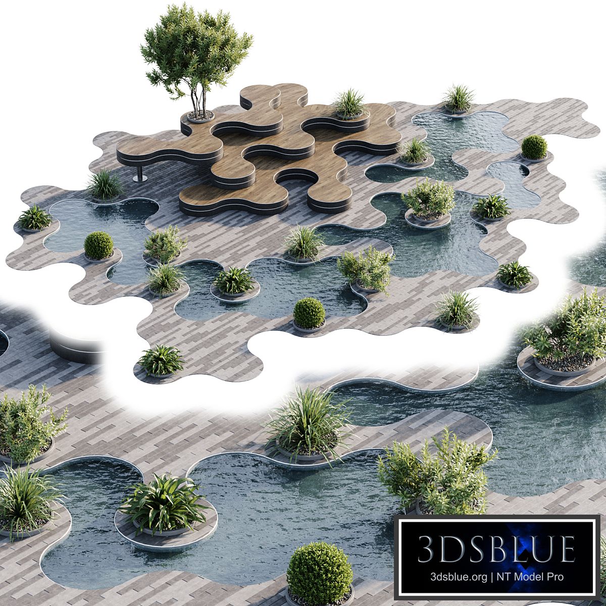 Town Square and Outdoor Plants 6