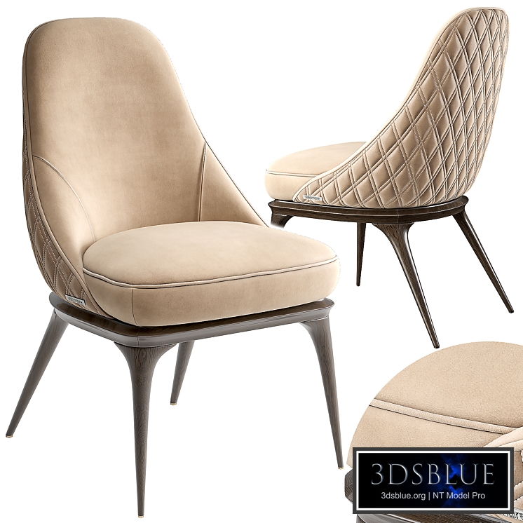 Chair ASHA Visionnaire