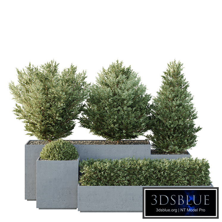 HQ Tree and bush garden box outdoor VOL 27
