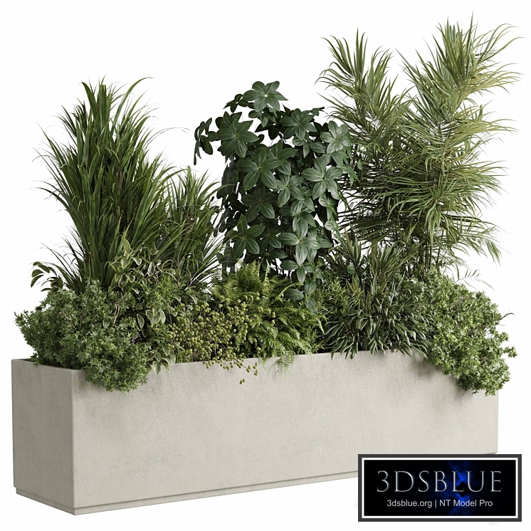 concrete box plants on stand - set indoor plant 445