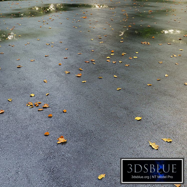 Wet asphalt with leaves. Autumn. Editable