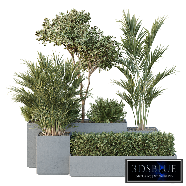 HQ Tree and bush garden box outdoor VOL 28