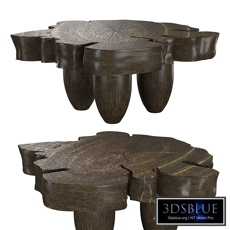 Nobu Burnt Flower Coffee Table