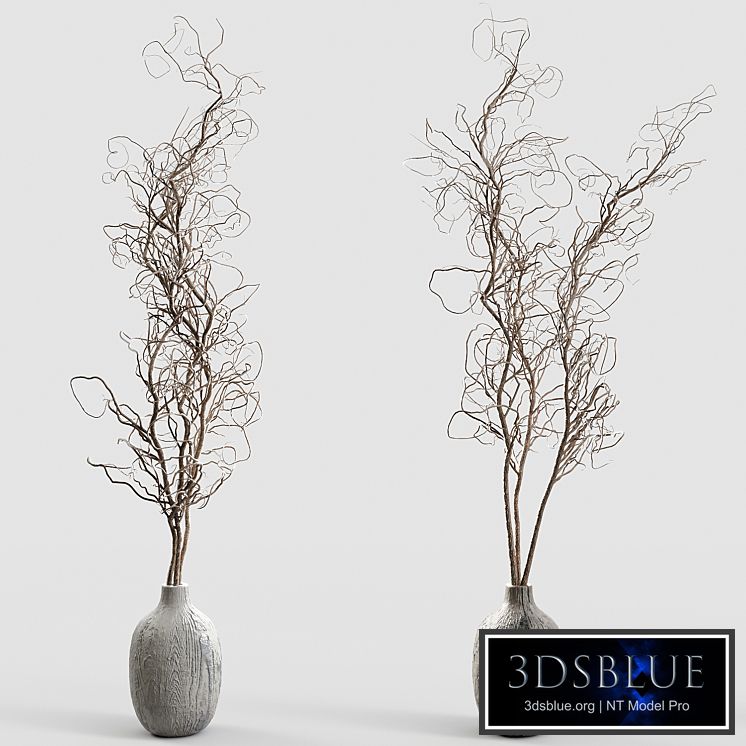 Branches in vases 30