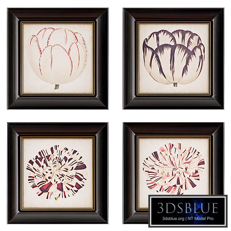 Pop Floral Framed Wall Art Collection