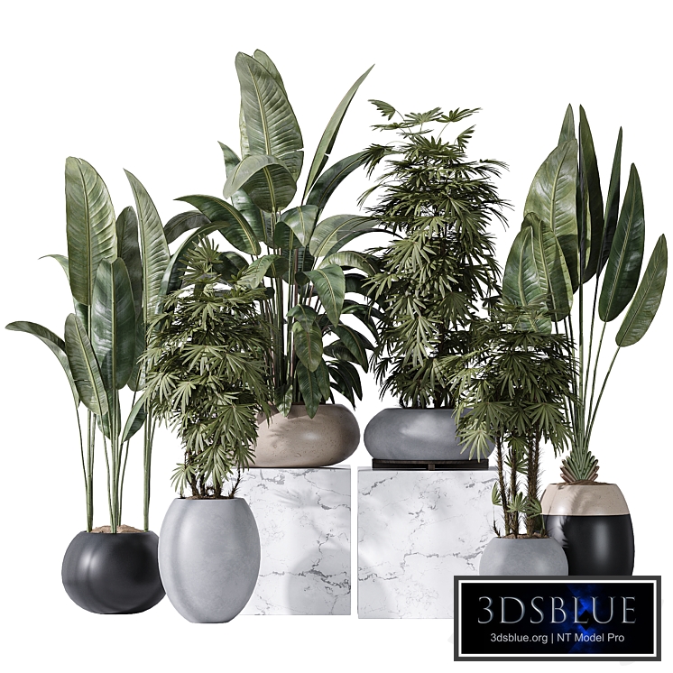 ParadiseBird and Rhapis Excelsa Lady Palm Vase 16