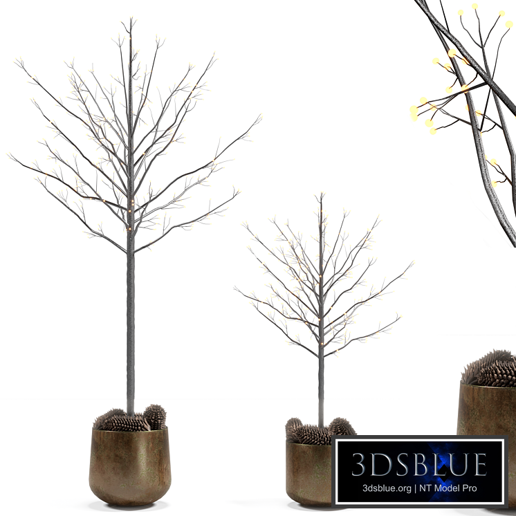 Black Christmas tree