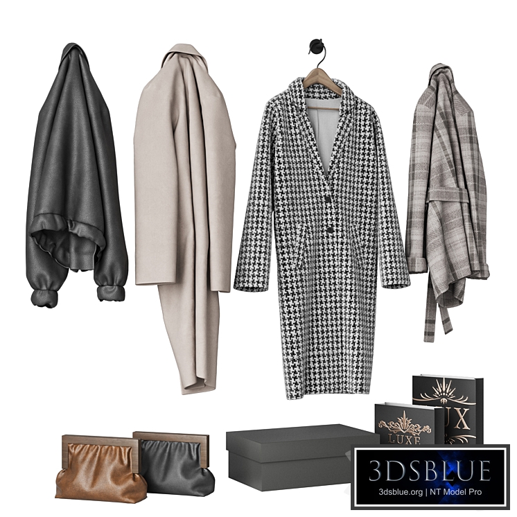 Outerwear for the hallway \ Coat