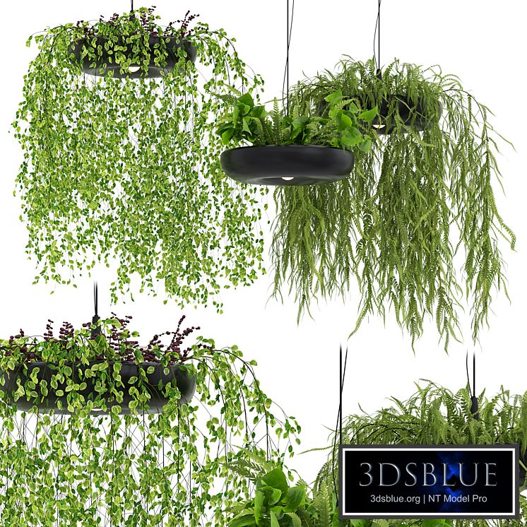 Indrid Decorative Plants Black Light By Lightmakers