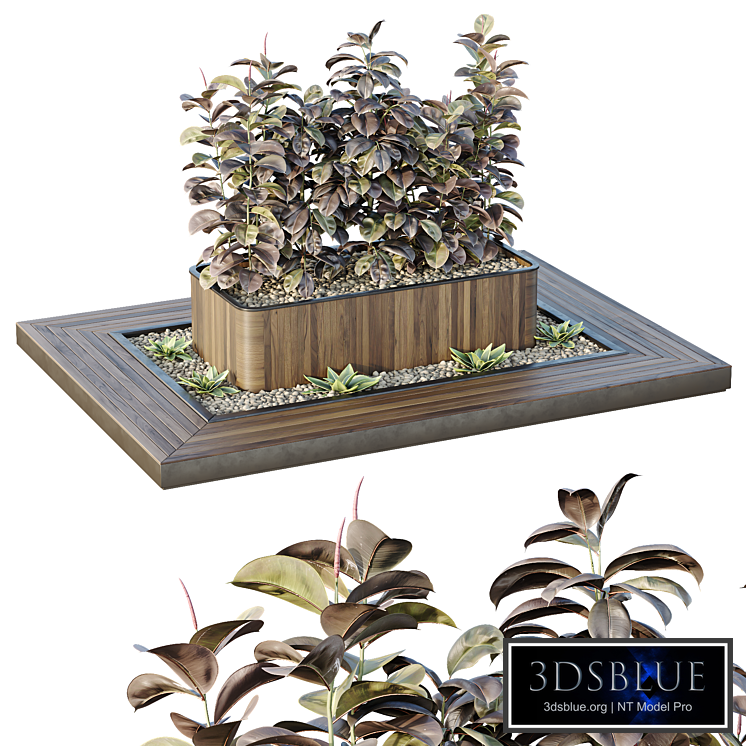 HQ Tree and bush garden box outdoor VOL 33