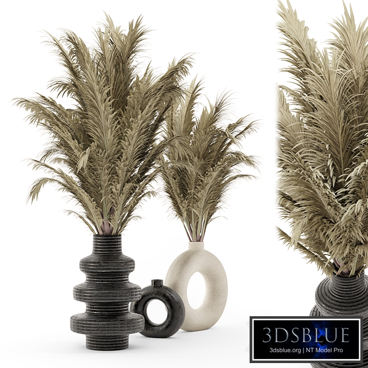 Collection Dry Bouquet Plants Pots - Set 1876