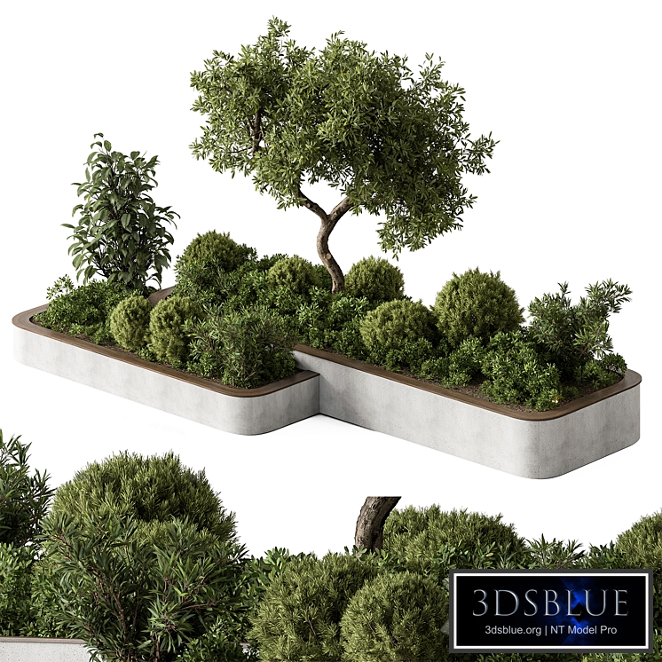 Plant Box - Outdoor Plants 588