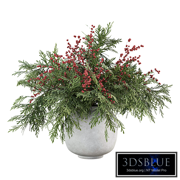 Bouquet Plants No.26