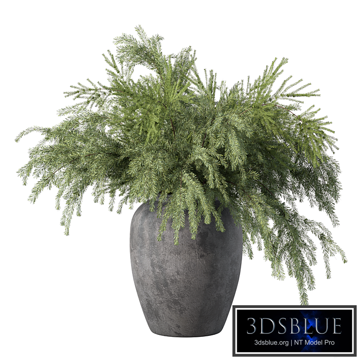 Bouquet Pine Branches Set.27