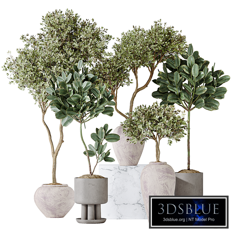 Elastica Abidjan Melany and Mission Olive Tree Vase 18