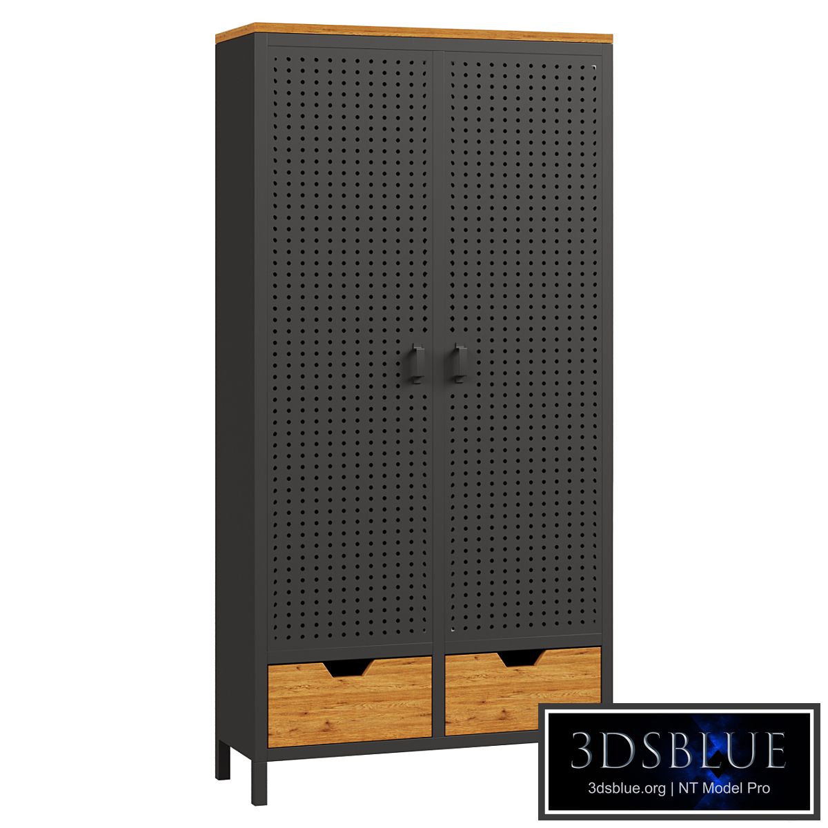 Wardrobe with 2 doors made of metal and oak AGAMA