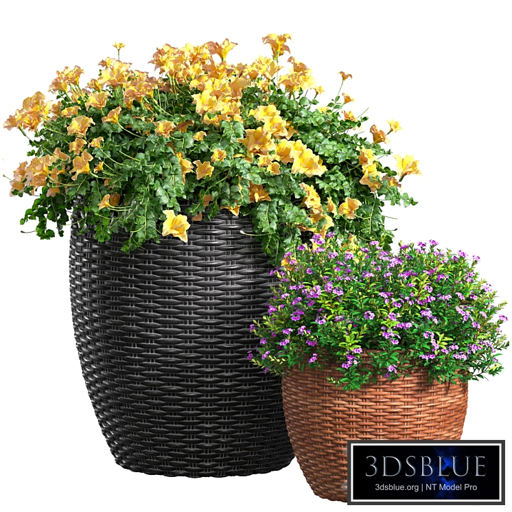 Flowerbed in a garden pot.Flowers Garden Plant Flowerpot Patio Balcony in Provence style