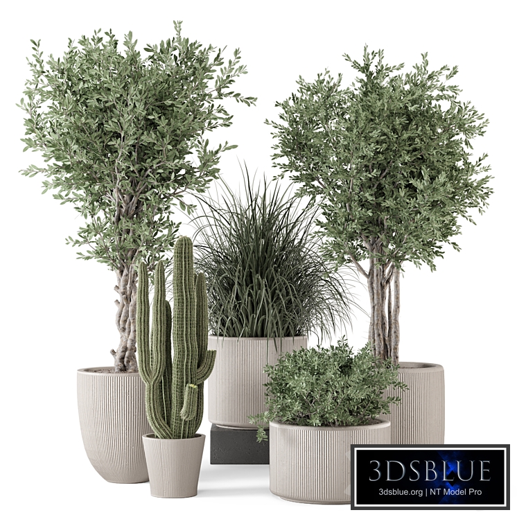 Indoor Plants in rusty Concrete Pot - Set 1911