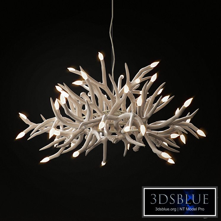 Jason Miller Superordinate Antler 24