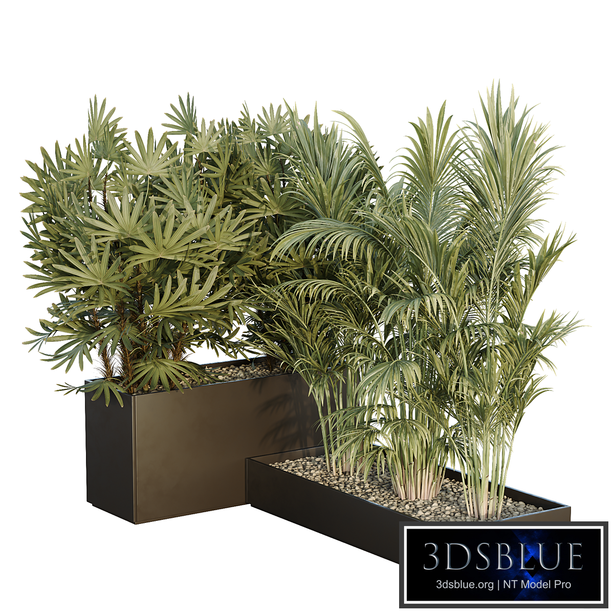 HQ Tree and bush garden box outdoor VOL 44