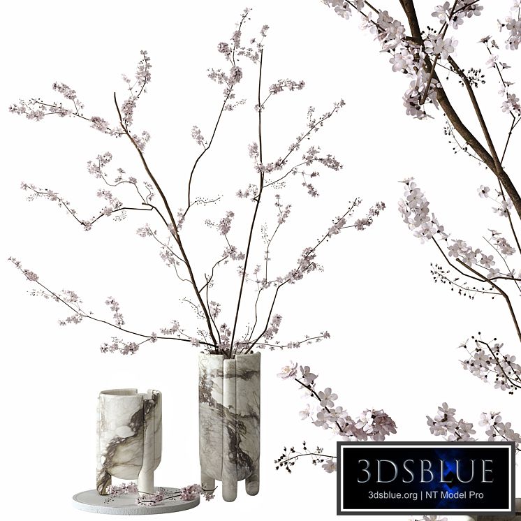 Decorative set with blossoming branches