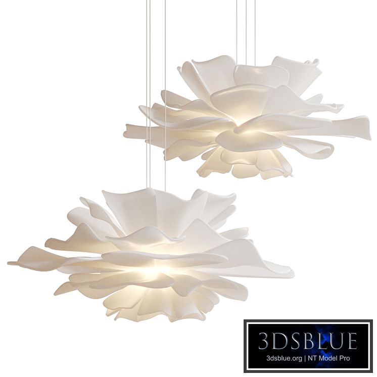 Love me not by Juniper