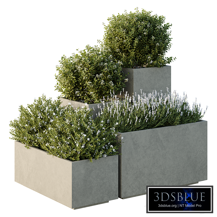 HQ Tree and bush garden box outdoor VOL 51