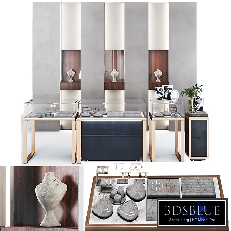 jewelry store showcase