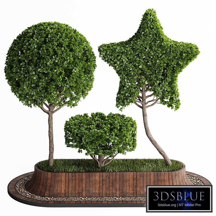 Topiary Trees 001
