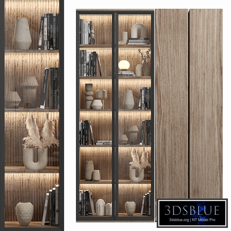 Cabinet with shelves 086