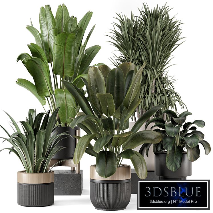 Indoor Plants in Ferm Living Bau Pot Large - Set 1947