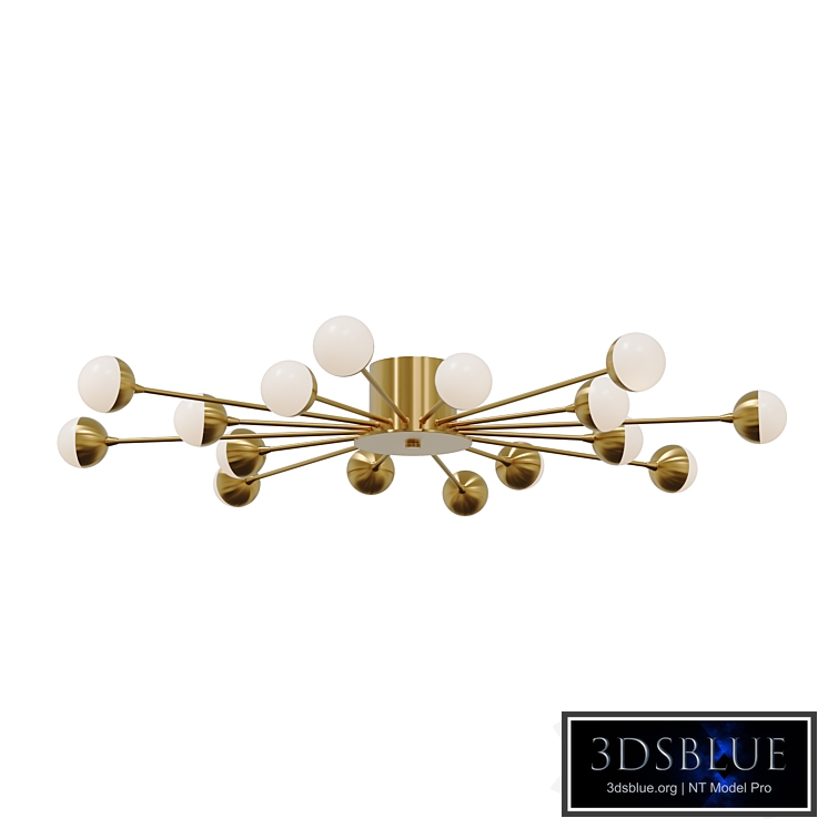 Celebrity Ceiling Light